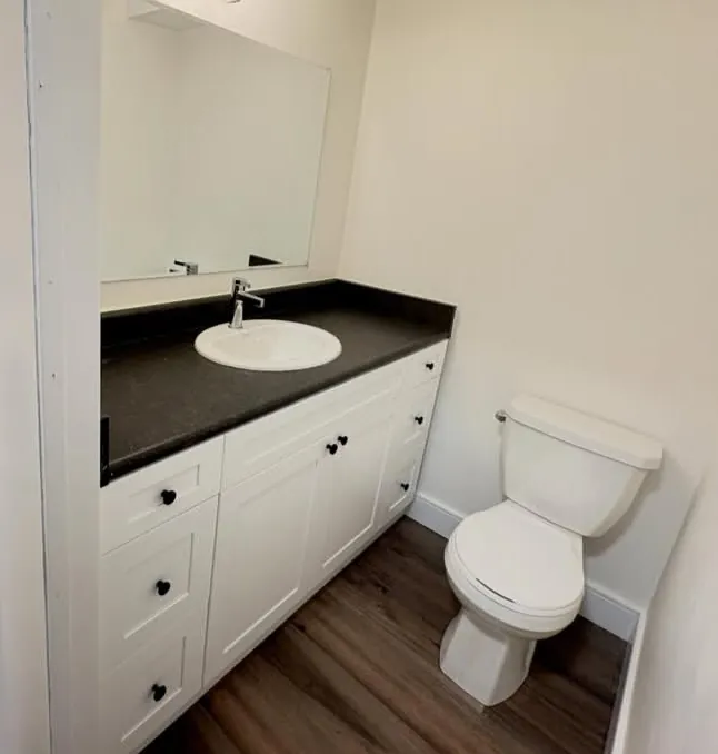 Updated bathroom with white shaker vanity, dark countertop, large mirror and new light fixture